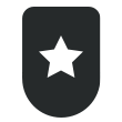 Icon of a shield with a star for quality assurance

